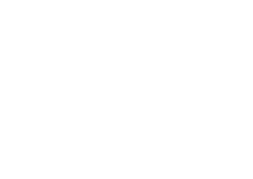 אלי בן גוריון